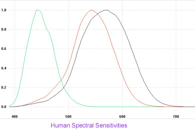 Human Spectral Sensitivities